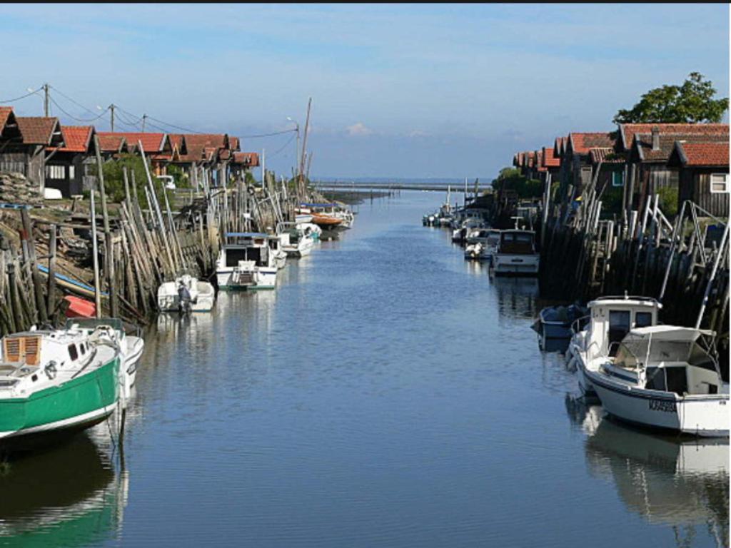 Hotel Particulier - Les Lodges Du Bassin D'Arcachon- Petit-Dejeuner Sur Demande- Prestations Haut De Gamme Gujan-Mestras Kültér fotó