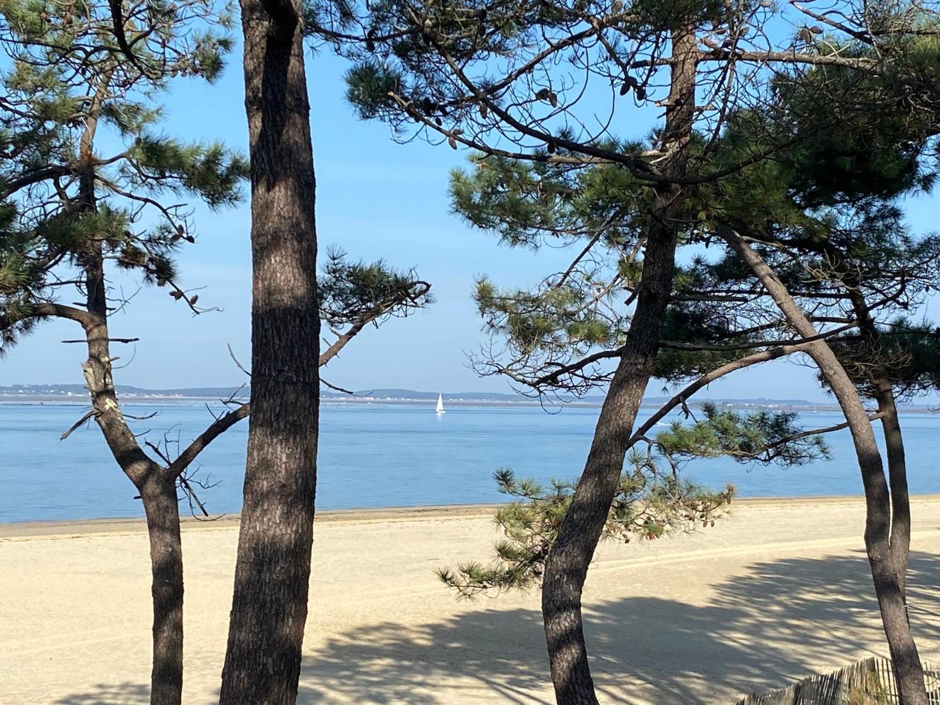 Hotel Particulier - Les Lodges Du Bassin D'Arcachon- Petit-Dejeuner Sur Demande- Prestations Haut De Gamme Gujan-Mestras Kültér fotó