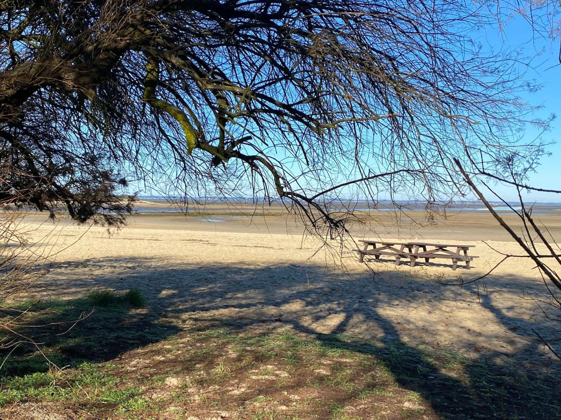 Hotel Particulier - Les Lodges Du Bassin D'Arcachon- Petit-Dejeuner Sur Demande- Prestations Haut De Gamme Gujan-Mestras Kültér fotó