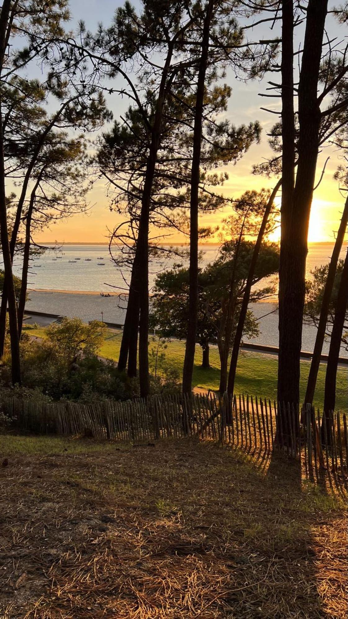 Hotel Particulier - Les Lodges Du Bassin D'Arcachon- Petit-Dejeuner Sur Demande- Prestations Haut De Gamme Gujan-Mestras Kültér fotó